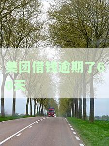 美团借款逾期20天真的要立案处理？如何申请期还款及无力偿还有何最新规定？