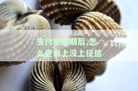 支付宝逾期查询征信方法：如何查看是否有逾期记录或报告？