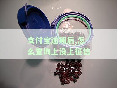 支付宝逾期了怎么查看总欠款，如何查看支付宝逾期后的总欠款？