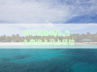 支付宝逾期后，怎么查询上没上征信-支付宝逾期后,怎么查询上没上征信呢