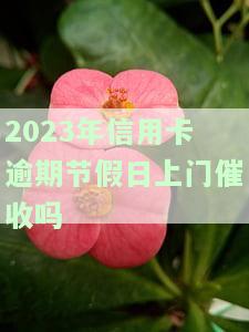 2023年信用卡逾期，节假日会上门催收吗？知乎探讨法定节假日信用卡逾期问题