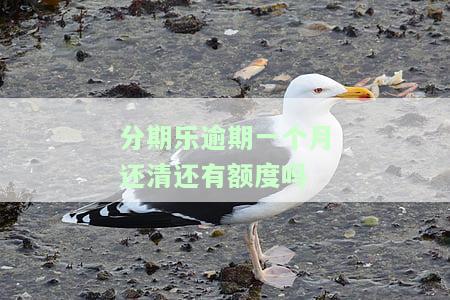 分期乐逾期一个月还清后还能继续使用、贷款和借款吗？