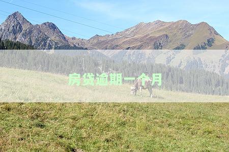 房贷逾期一个月银行怎么处理，房贷逾期一个月：银行的应对措和可能的后果