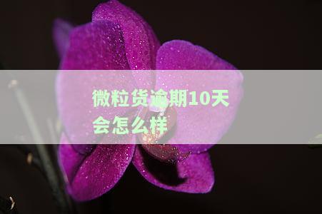 微粒货逾期几天，警惕！微粒贷逾期几天将产生严重影响