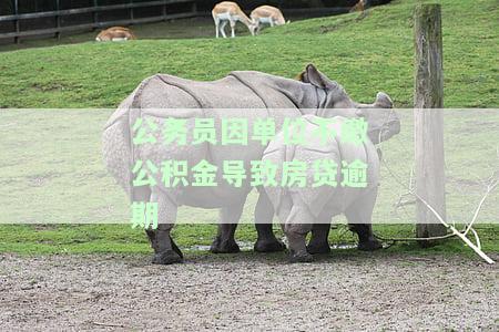 公务员拖欠公积金：合法吗？如何解决？
