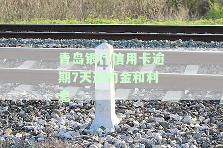 青岛银行信用卡逾期7天违约金和利息怎么算，详解青岛银行信用卡逾期7天的违约金与利息计算方法