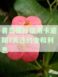 青岛银行：是否有期还款政策及业务？