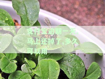支付宝逾期一天，马上还掉，多久可以恢复使用及额度？