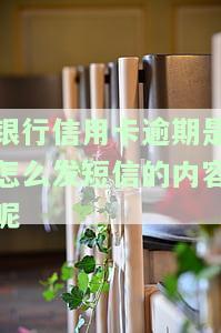 如何在朋友圈、短信中发布银行逾期信息？