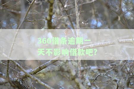 逾期一天后还会自动还款吗，：逾期一天会自动还款吗？