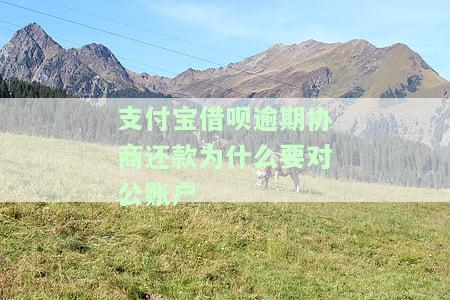 借呗逾期协商还款到对公账户：安全可靠吗？