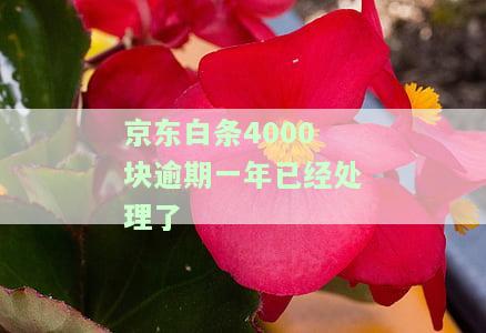 13000逾期半年了，逾期半年，欠款13000元仍未偿还