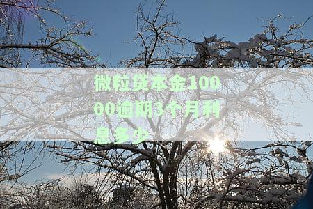 微粒贷本金10000逾期3个月利息多少？