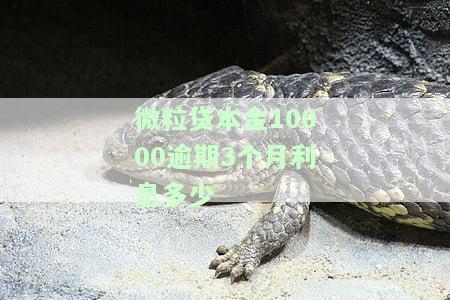 欠微粒1万逾期三个月，逾期三个月，欠微粒金融1万元仍未偿还