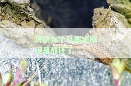 房贷每个月都逾期但是都还了会被起诉吗，房贷逾期后每月还款，是否会被银行起诉？
