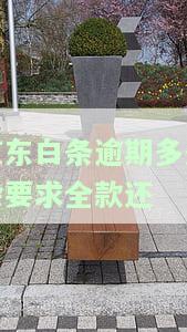 逾期多久会要求全部还完，逾期多久？需全部还款吗？