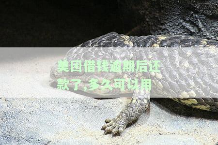 美团借钱逾期还清了,多久才能继续借款，美团借钱逾期后还款，多久可以再次申请借款？