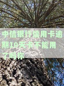中信银行信用卡逾期10天是否会导致卡片无法使用？请知晓可能的影响及应对措！