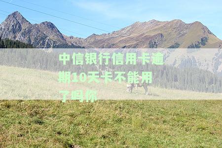 中信银行信用卡逾期10天卡不能用了吗你-中信银行信用卡逾期10天卡不能用了吗你知道吗