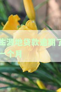 生源地贷款逾期一个月是否会上征信？