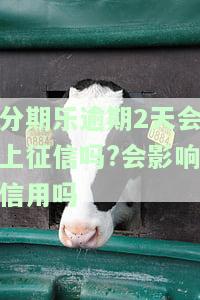 分期乐逾期两天会上报影响征信吗？不是故意的，会有何后果？