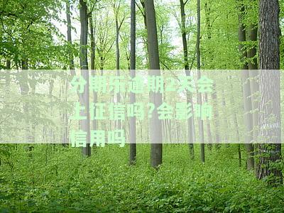 分期乐逾期2天会上征信吗?会影响信用吗
