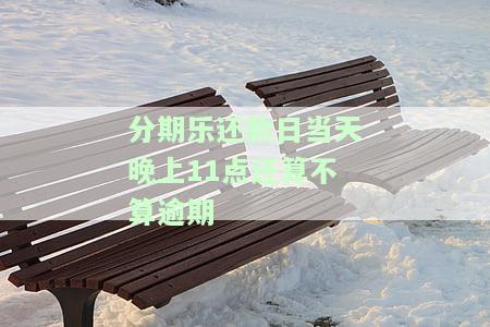分期乐还款日晚上可以还款吗？扣款时间是何时？