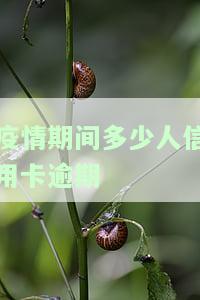 疫情期间多少人信用卡逾期了，疫情冲击下，信用卡逾期人数激增！