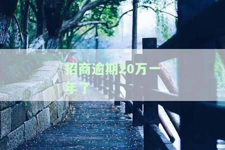 招商逾期20万一年了，是否会起诉？