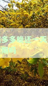 桔多多逾期一天会不会上征信，桔多多逾期一天会否影响个人征信？