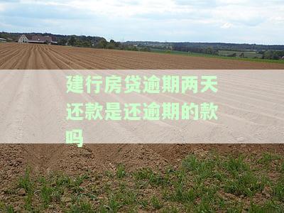 建行房贷逾期两天还款：是只还逾期部分还是全额还款？