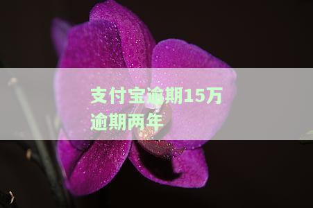 支付宝逾期15万逾期两年怎么办？解决方案与处理步骤