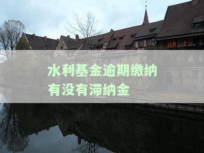 水利基金逾期缴纳有没有滞纳金的规定，探讨水利基金逾期缴纳是否会产生滞纳金规定