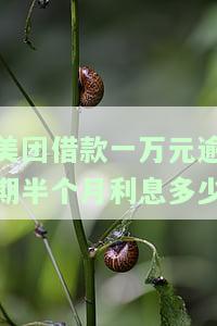 美团借款一万元逾期半个月利息多少，美团借款一万元，逾期半月利息多少钱？