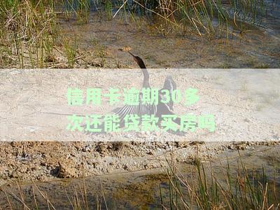 信用卡逾期30多次还能贷款买房吗知乎，信用卡逾期30多次，是否影响你申请房贷？答案在这里！