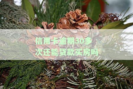信用卡逾期30多次还能贷款买房吗-信用卡逾期30多次还能贷款买房吗知乎
