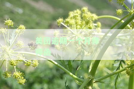 美团逾期一个月律师函怎么写，美团逾期一个月，收到律师函应该怎么办？