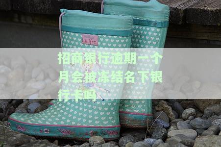 招商银行逾期一个月被停卡有何办法继续使用，如何解决招商银行信用卡逾期一个月被停卡的问题并恢复使用？