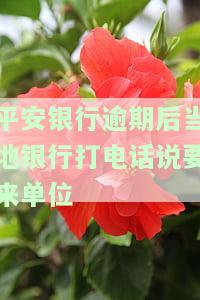 平安银行逾期4个月收到当地办事处催款电话，应如何处理？