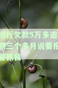 招商银行：欠款5万逾期3月，要求一次性还清是否合法？