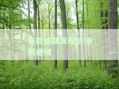 贷款逾期发短信排期通知