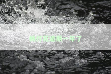 逾期好几个月了，长期拖欠还款：用户逾期数月仍未解决