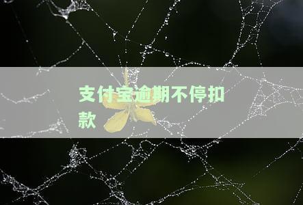支付宝逾期被扣，小心！支付宝逾期还款将被扣除，切勿忽视还款日期