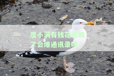 如何解决度小满有钱花还款问题？与谁协商?