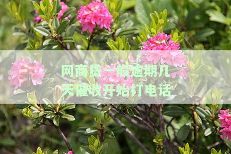 网商贷逾期几期开始催款，网商贷逾期多久开始催款？你需要知道的还款期限和催款方式