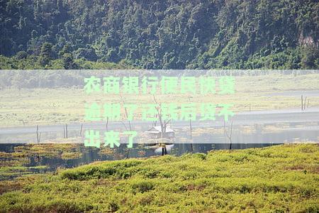 农商银行便民快贷逾期了还钱后贷不出来了-农商银行便民快贷逾期了还钱后贷不出来了怎么办