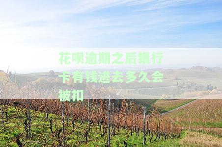 花呗逾期了银行卡有钱了会不会马上扣了，你的疑问解答：花呗逾期，银行卡有钱了会立即扣款吗？