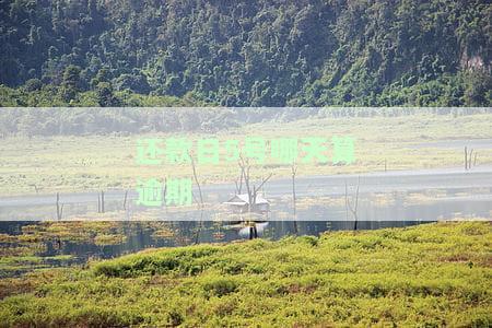 还款日5号包括当天吗，关于还款日的疑问：5号是否包含在内？