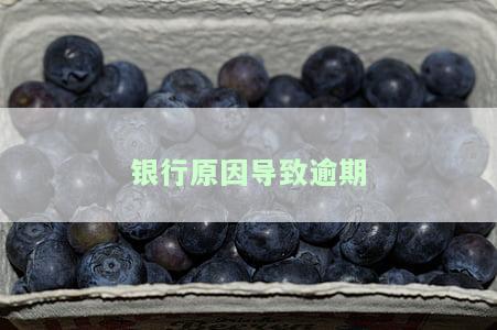 银行原因导致逾期记录赔偿客户的金额标准是什么？