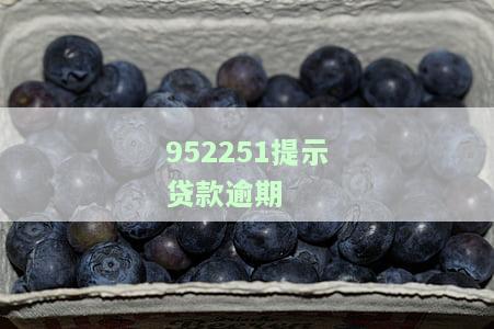 952251提示贷款逾期,我记得没有借钱过，名其妙收到'952251提示贷款逾期', 我记得没有借钱过，该怎么办？